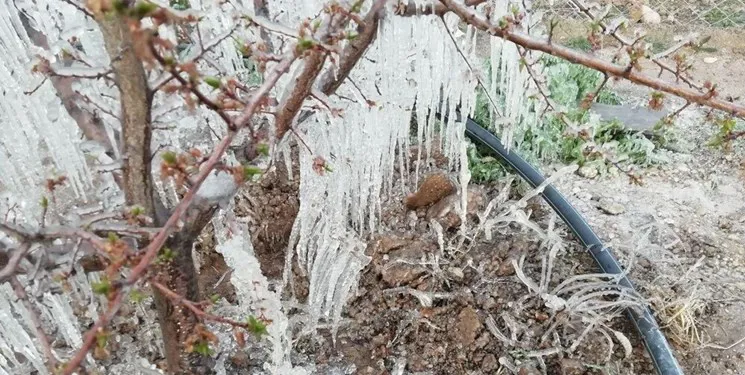 خسارت ۵۷ هزار میلیارد ریالی به بخش کشاورزی آذربایجان‌شرقی/ از ۴۳ بلایای طبیعی دنیا،۳۲ نوع در ایران رخ می‌دهد