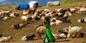 همه عشایر آذربایجان‌شرقی از آب لوله‌کشی برخوردار می‌شوند