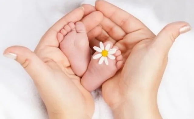 آغاز درمان 10 هزار زوج نابارور به همت ستاد اجرایی امام (ره)/ آغاز اهدای ۲۷ هزار ویلچر به معلولان مناطق محروم