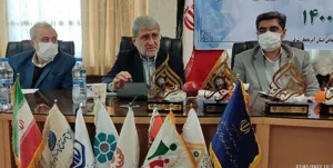 فعالیت 2.4 میلیون سرپرست خانوار در حوزه مشاغل خانگی در کشور/ بیمه قالیبافان ادامه می‌‎یابد