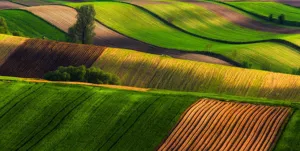 اراضی دیم آذربایجان‌شرقی زیر چتر طرح جهش تولید