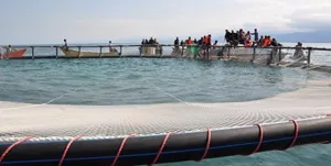 تولید آبزیان در آذربایجان‌شرقی افزایش می‌یابد