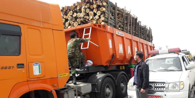 ضرورت برخورد قاطع با عاملان قطع درختان و زمین خواری