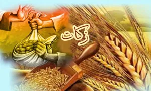 6 میلیارد ریال زکات در شهرستان هریس جمع آوری شد