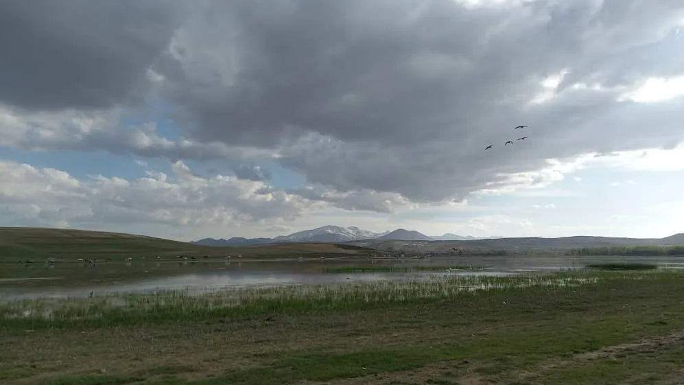 حفظ تالاب‌ها نیازمند همکاری بین بخشی ارگان‌های مختلف است