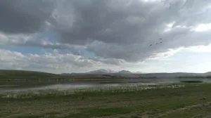 حفظ تالاب‌ها نیازمند همکاری بین بخشی ارگان‌های مختلف است