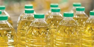 آذربایجان‌شرقی در آستانه خودکفایی تولید روغن خوراکی