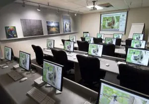 مدارس لاکچری سگ‌ها در ایران با برنج ایرانی!