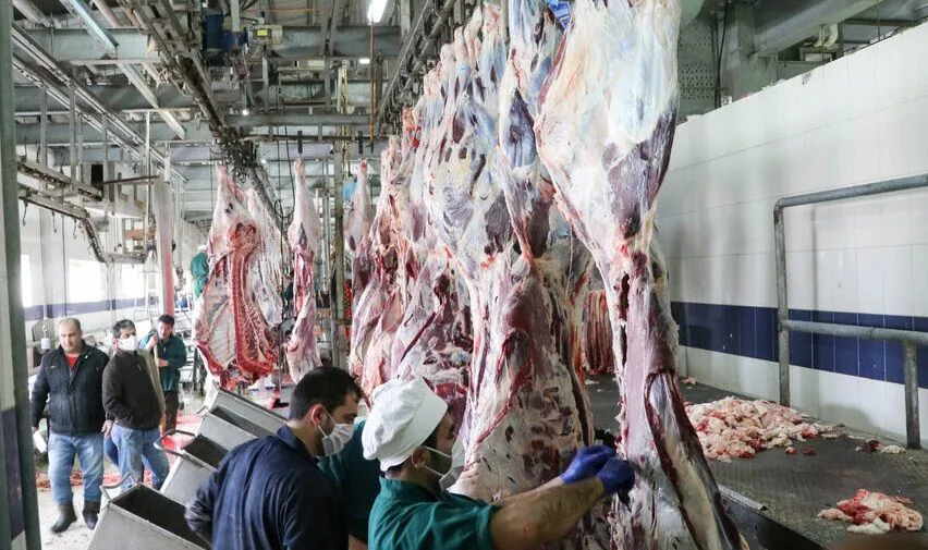 کمبود گوشت قرمز در تبریز برطرف شد