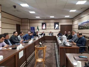 سهم آرد نانوایی هایی که همکاری نمی‌کنند قطع شود