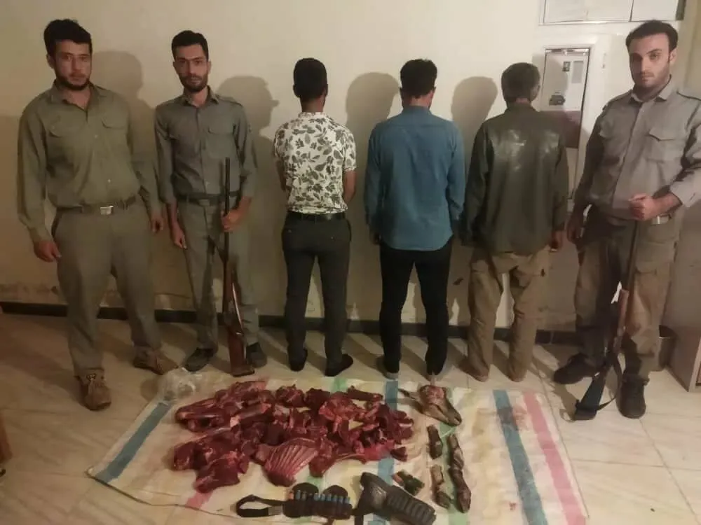 دستگیری شکارچیان کل وحشی در پارک ملی کنتال جلفا