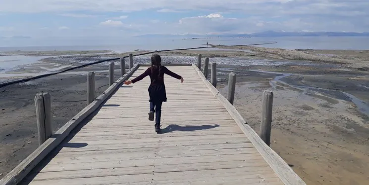 آتش‌سوزی مشکوک در بندر شرفخانه