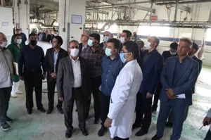 آماده سرمایه‌گذاری در زمینه تولید دام و ارائه گوشت به بازار هستیم