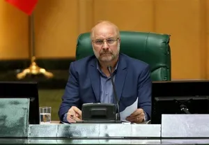 مجلس پیگیری مشکلات کادر درمان را وظیفه خود می‌داند