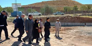 بحران سگ‌های ولگرد با حفظ حقوق حیوانات رفع می‌شود