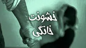 اجرای سند جامع پیشگیری از خشونت نیازمند اهتمام همه نهادهاست