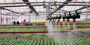 استقرار ۱۱۰۰ شرکت دانش بنیان در ۱۰ دهکده فناوری و نوآوری کشاورزی کشور