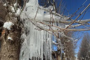 دمای هوا در ورزقان به هشت درجه زیر صفر رسید