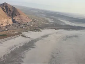 سه هزار و ۸۲۵ هکتار از اراضی حاشیه دریاچه ارومیه بوته کاری شد