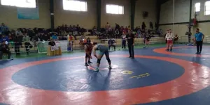 معرفی نفرات برتر کشتی آزاد آذربایجان شرقی