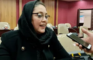 مردم ترکیه باید با فرهنگ و ادبیات ایران بیشتر آشنا شوند