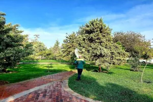 ایجاد ۶۰۰ هکتار فضای سبز در سال آینده