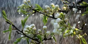 «مرند» رکورد بارندگی فروردین ماه آذربایجان را شکست