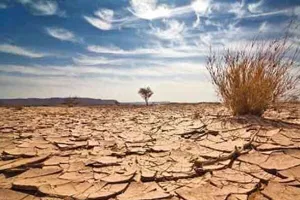 خشسکسالی به ۱۱۷ هزار هکتار از اراضی زراعی آذربایجان شرقی خسارت زد