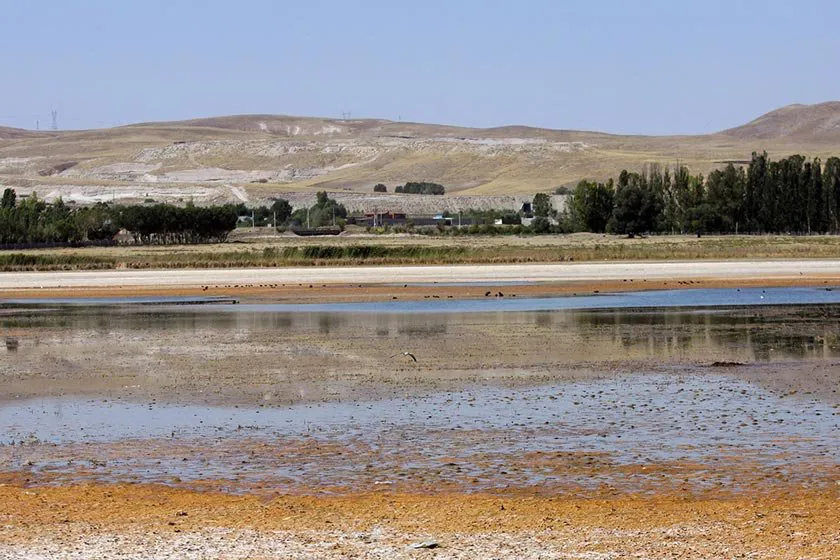 پایش مانیتورینگ تالاب قوری گل، گامی به سوی محیط زیست هوشمند