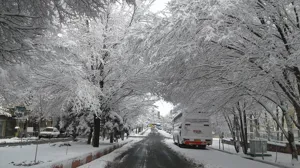 بارش برف و تعطیلی مدارس