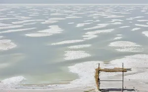 سیب یا دریاچه؟!