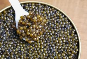 تولید خاویار در استان آذربایجان شرقی