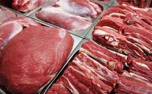 نظارت بهداشتی دامپزشكی آذربايجان شرقی بر ترخیص 1291 تن گوشت وارداتی