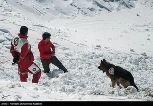 نجات 2 نوجوان گمشده در ارتفاعات شمال تبریز