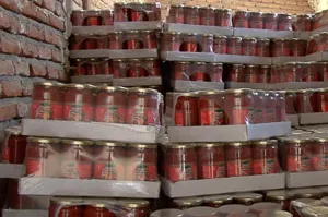 یک هزار و 488 پرونده تخلف در آذربایجان شرقی تشکیل شد