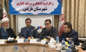 طرح الگوی توسعه مشاغل خانگی در 10 استان اجرا می شود