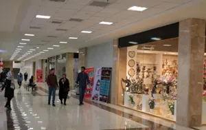 بدهی سرمایه گذاران مجتمع های تجاری ارس استمهال می شود