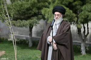 مسئولان مانع از بین رفتن درختان و باغات موجود در شهرها شوند