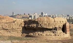 اراده‌ای برای آزادسازی املاک ربع رشیدی وجود ندارد