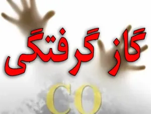 گاز گرفتگی جان دختر نوجوان میانه ای را گرفت