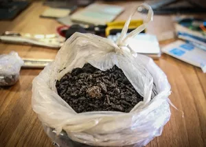 ۲۲ باند تهیه و توزیع مواد مخدر در آذربایجان شرقی متلاشی شد