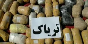 285 کیلو گرم تریاک جاساز شده در 2 دستگاه تریلر در میانه کشف شد