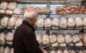 مدیرکل دامپزشکی آذربایجان شرقی: مرغ های بسته بندی شده مشکل بهداشتی ندارند