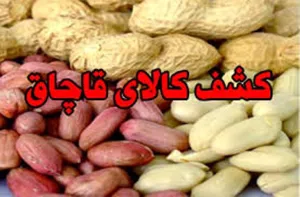 کشف نزدیک به 2 تن خشکبار قاچاق در عجب شیر