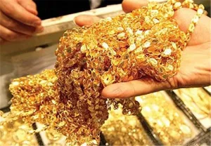 دستگیری اخلال‌گران بازار طلا در آذربایجان شرقی توسط اطلاعات سپاه عاشورا