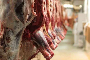 توزیع گوشت قرمز شناسنامه دار به صورت بسته بندی شده در تبریز