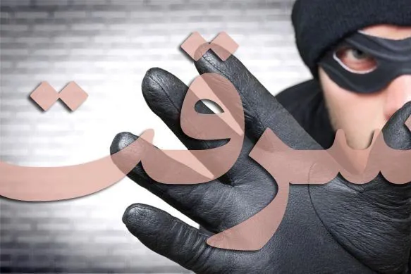 توصیه های پلیس، در راستای پیشگیری از سرقت خانه باغ‌ها
