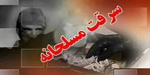 دستگیری سارق مسلح با 7 فقره سرقت در شهرستان اهر