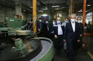 نهادهای مسئول باید در واگذاری‌ها مانع سوءاستفاده افراد فاقد اهلیت شوند