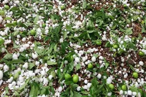 هشدار بارش تگرگ در آذربایجان‌شرقی